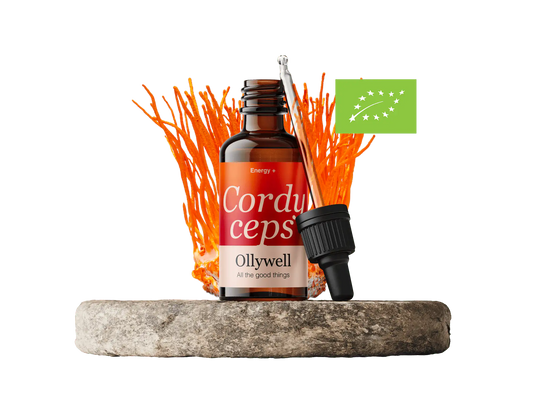 BIO Cordyceps: Energia+