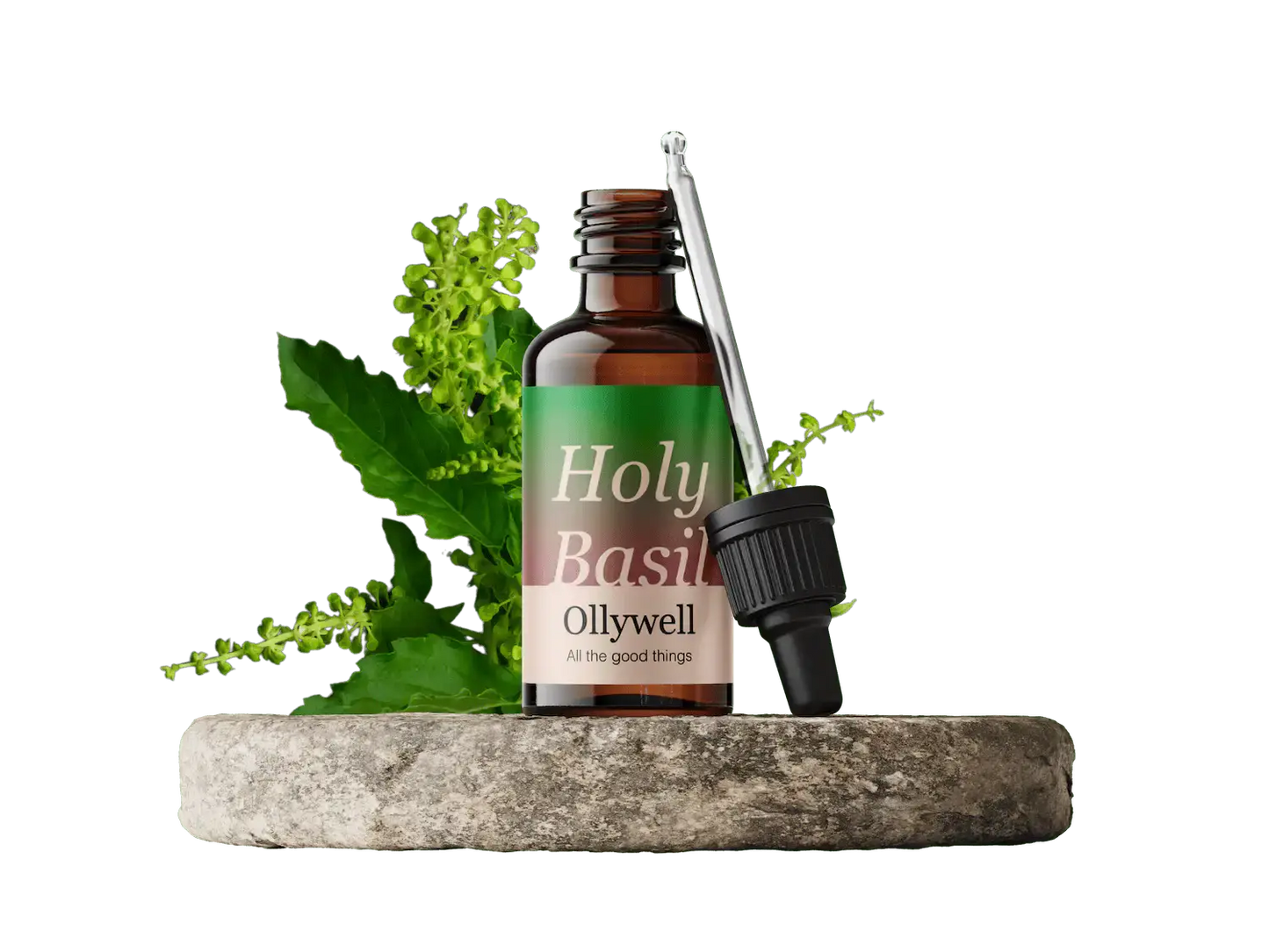 Basilico Sacro: Equilibrio+