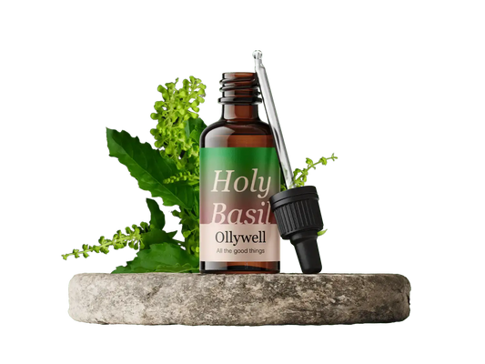 Basilico Sacro: Equilibrio+