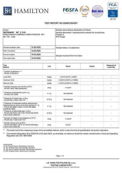BIO Chaga: Antiossidante+