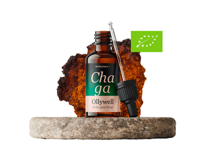 BIO Chaga: Antiossidante+