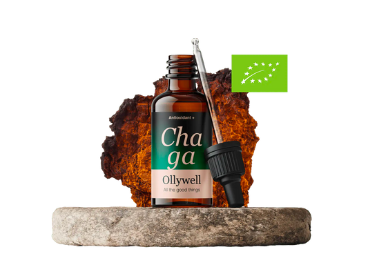 BIO Chaga: Antiossidante+
