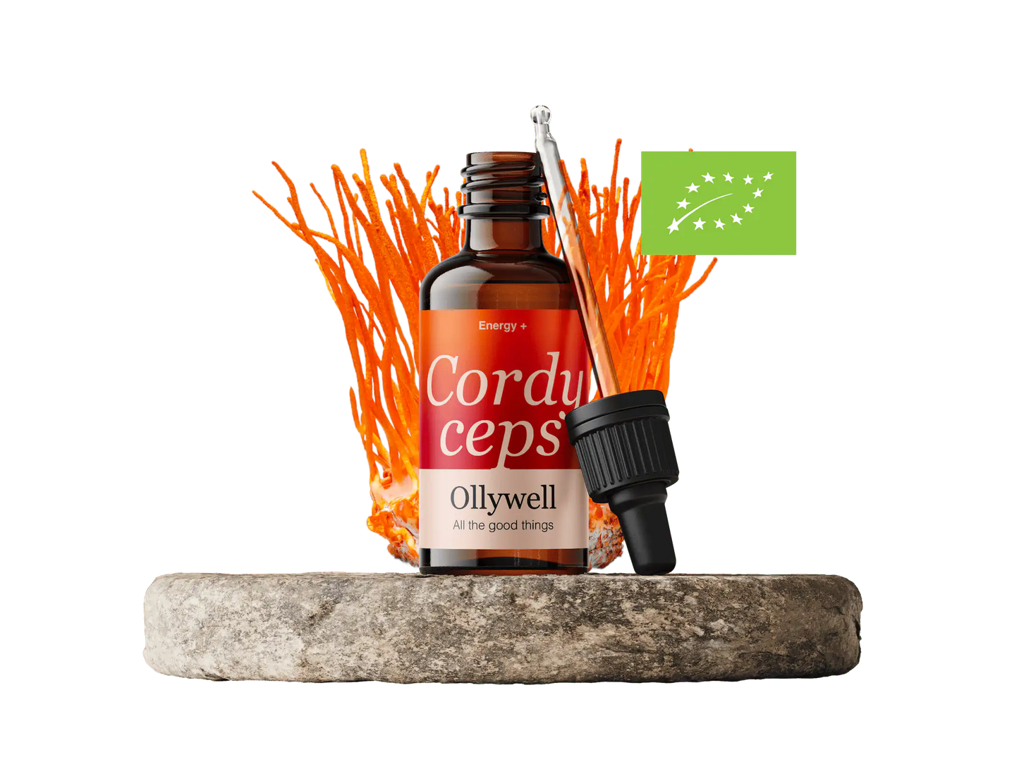 BIO Cordyceps: Energia+