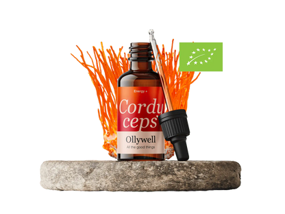 BIO Cordyceps: Energia+